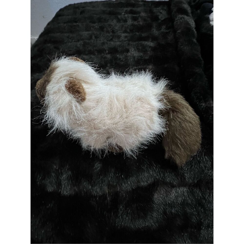 Webkinz‎ Ganz Himalayan Cat No Code Stuffed Animal
